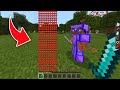 初心者に最強のハンデを与えてウィザスケの頭GET競争【マイクラ】
