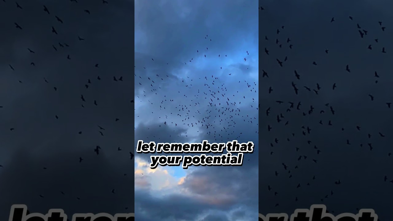 "Your Biggest Fan Is Usually A Stranger "  