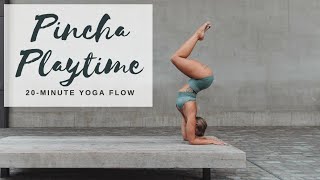 PINCHA PLAYTIME | 20-Minute Flow for Forearm Stand | CAT MEFFAN