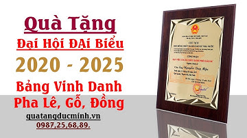 Quà Tặng Đại Hội - Bảng Vinh Danh - Gỗ - Đồng - Pha Lê - Kỷ Niệm Chương | Quà Tặng Đức Minh