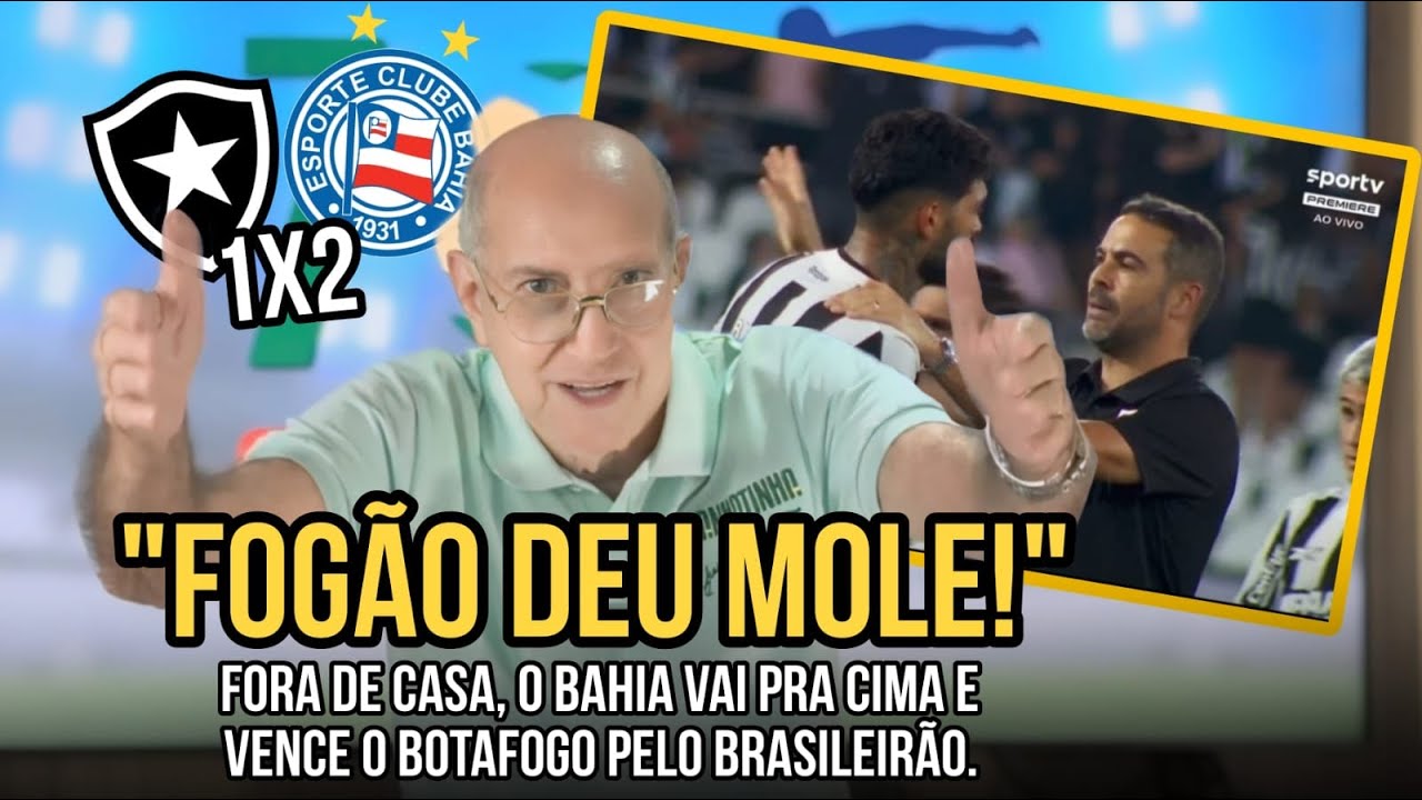 BAHIA VENCE O BOTAFOGO E ASSUME A VICE-LIDERANÇA NO BRASILEIRÃO ...