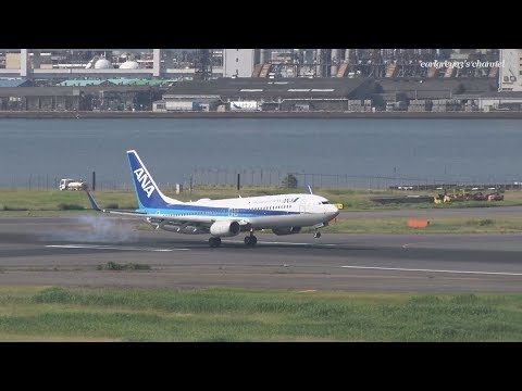All Nippon Airways (ANA) Boeing 737-800 JA76AN 羽田空港 着陸 2018.6.2