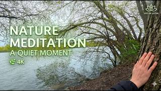 A Quiet Moment by the Water 🌿 Nature Meditation for Inner Peace 4K Net Worth