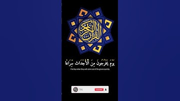 ماتيسر من سورة المعارج 🔥فذرهم يخوضوا ويلعبوا..🔥Surah Al-Maarij 🌾