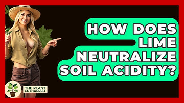 How Does Lime Neutralize Soil Acidity? - The Plant Enthusiast