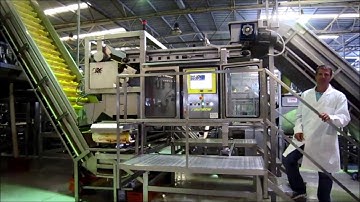 3Way peeled peaches sorting with Raynbow | RAYTEC VISION SpA