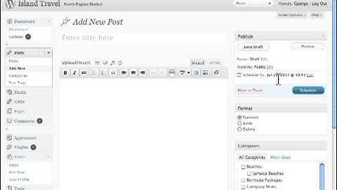 How to publishing New Post in Wordpress