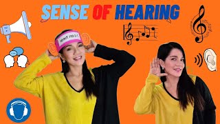 Sense of Hearing Teaching Demo for Kids Plus Fun Activity