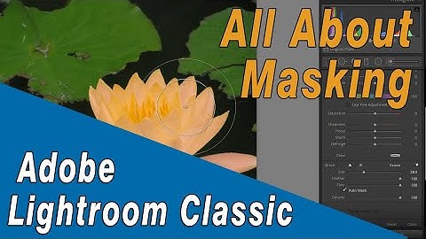 All About Masks in Lightroom