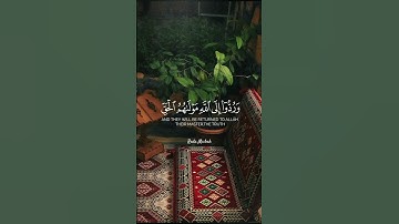 تلاوة خاشعة بصوت جميل #قرآن #قران_كريم #عبدالرحمن_مسعد #لايك #حالات_واتس #اكسبلور #راحة_نفسية #duet
