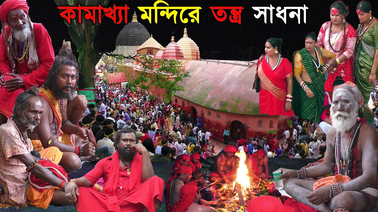 Kamakhya Trantra shadona of Ambubachi | আসামের কামাখ্যা মন্দিরে তান্ত্রিকদের তন্ত্র সাধনা