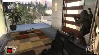 Frogz Luck - FFA Raid Suicide Shot (Black Ops 2)