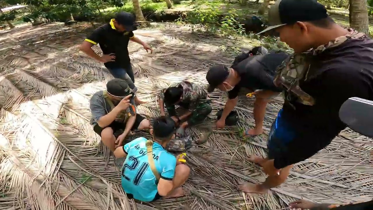 Qua bến tre xứ dừa rượt sóc với ná cao su