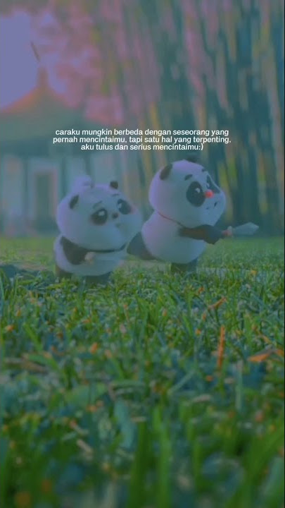 story wa panda lucu #shorts