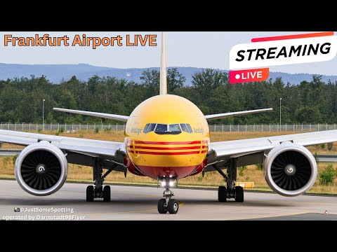 🛬Landebahn Nordwest | Frankfurt Airport Live #d98flyer #frankfurtairport #airchina #a350 #aerologic