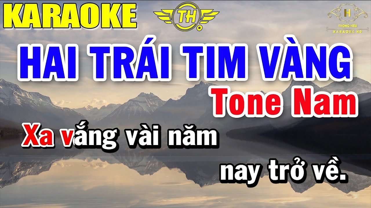 Hai Trái Tim Vàng Karaoke Tone Nam Nhạc Sống | Beat Mới Dễ Hát Âm Thanh Chuẩn | Trọng Hiếu