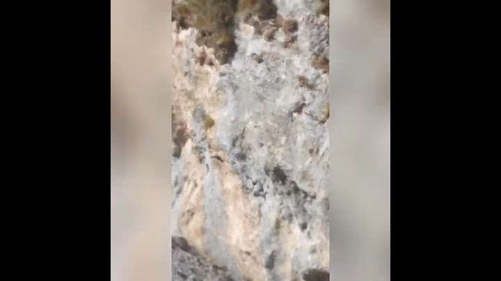 Охота на кавказскую серну в Северной Осетии. Hunting: Caucasian chamois in North Ossetia.