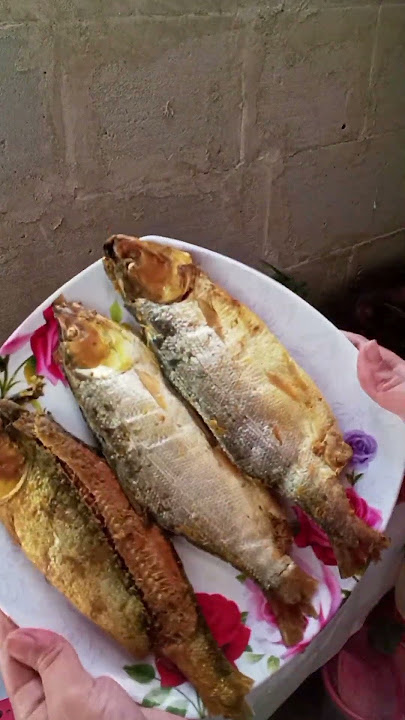 bandenggoreng plus sambel goang dan lalap #cooking #dapurjadul #food #masakansunda