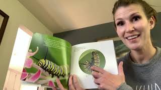 Datos Wednesday (5/6) Book- Fly, Butterfly Noticias