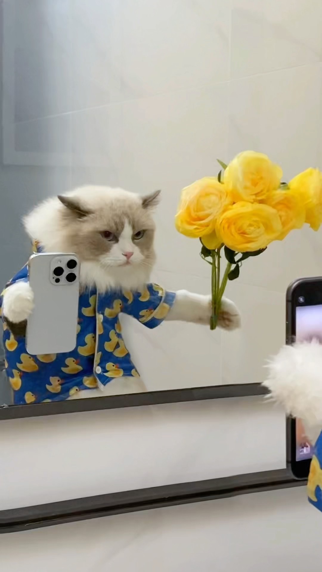 ?Puff’s “Don’t Try This at Home” series is here!#PuffTheCautionary #HomeHackNoNos #thatlittlepuff
