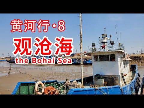 【黄河行▪8】假期来到渤海湾的渔村，这儿的海鲜，价格怎么样