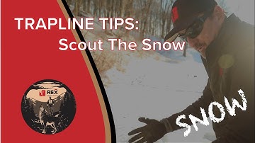 Scout The Snow | Trapline Tips | Rex Predator Academy
