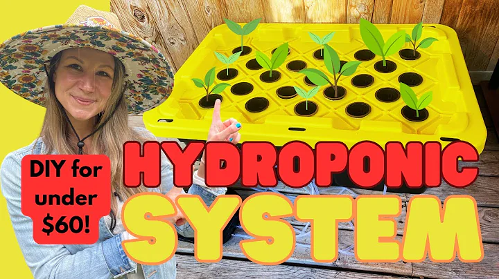 DIY Plastic Tote Hydroponic System For Under $60 (Step-by-Step Guide!)