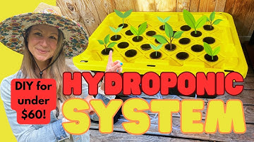DIY Plastic Tote Hydroponic System For Under $60 (Step-by-Step Guide!)