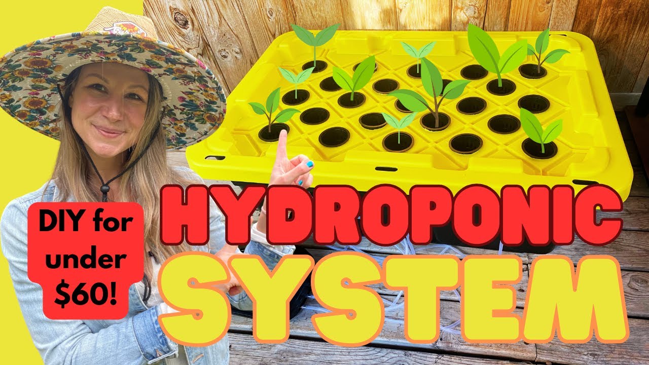 DIY Plastic Tote Hydroponic System For Under 60 (StepbyStep Guide