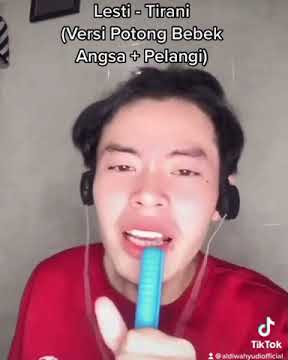 TIK TOK ALDY WAHYUDI menyanyikan lagu LESTI-TIRANI (VERSI POTONG BEBEK ANGSA PELANGI)