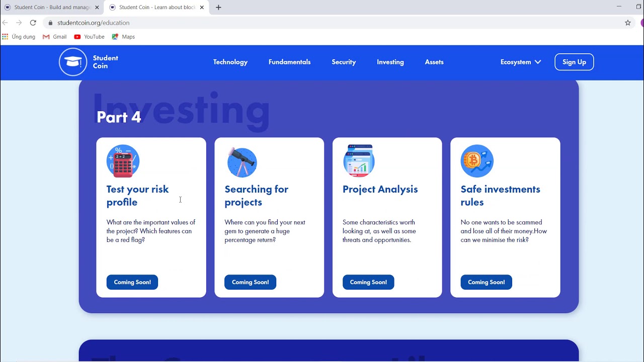 информация о проекте student coin