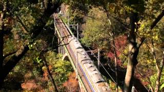 中央線 115系山スカ 秋の呼戸沢橋梁1 20131116