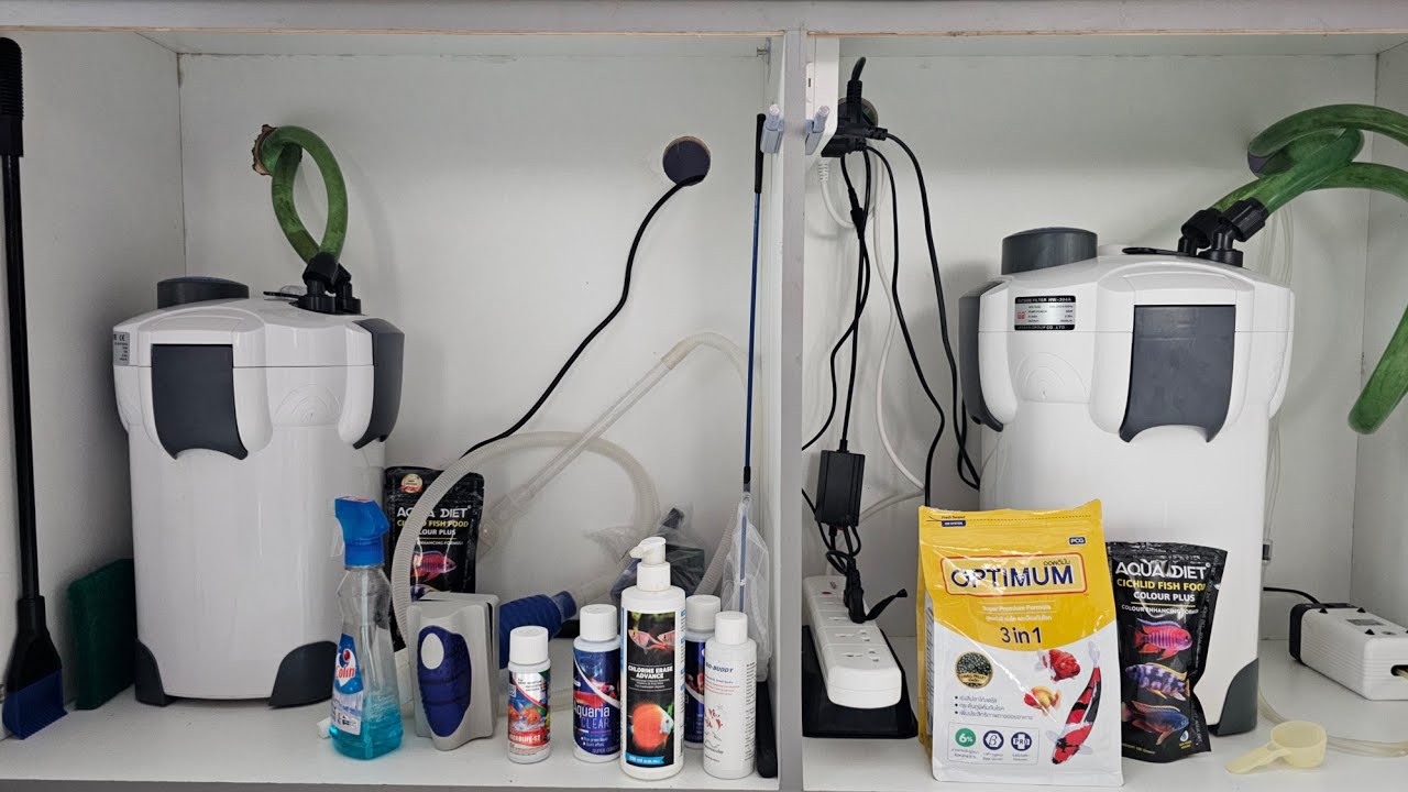 Dual External Canister filter. Zero Maintenance Aquarium setup. 