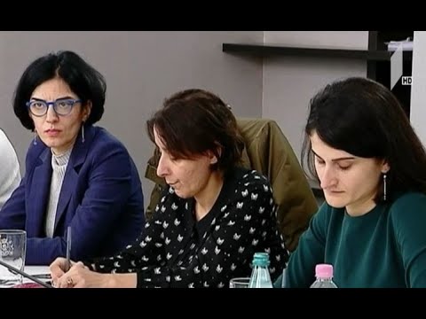 განათლების სამინისტროში ბავშვთა უფლებებისა და უსაფრთხოების დაცვაზე მსჯელობენ