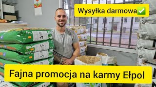 FAJNA PROMOCJA NA KARMY EŁPOL✅️🔥 WYSYŁKA DARMOWA‼️😎 Gołębie Pocztowe