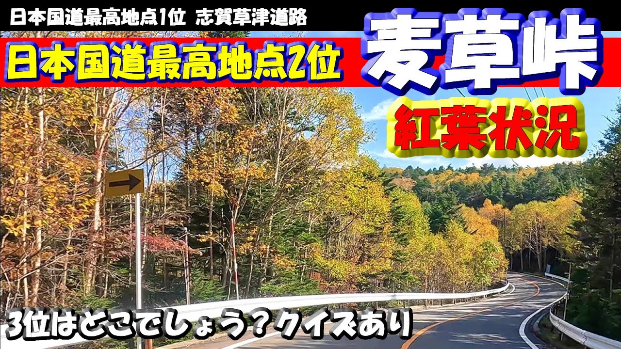 紅葉【麦草峠】2025年10月12日～蓼科高原～白駒の池周辺～八千穂高原スキー場　日本国道最高地点2位国道299号メルヘン街道の紅葉ロードの走行映像 #紅葉ドライブ #紅葉ツーリング