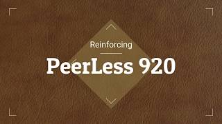 Reinforcing PeerLess 920 Transaxle