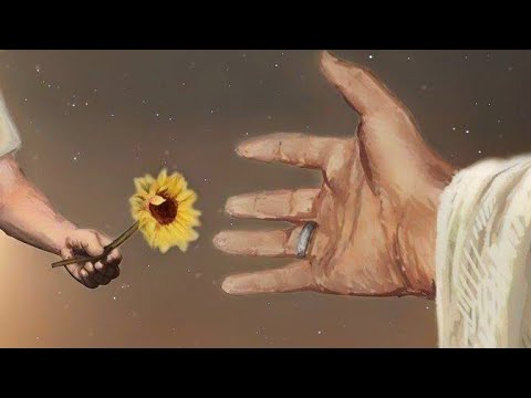 حامد علي زاده سورة التكوير