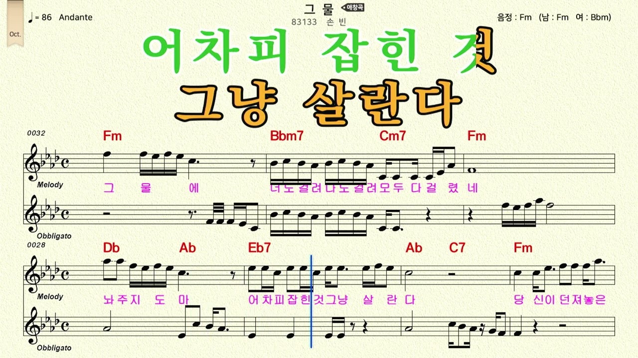 손 빈 - 그 물 MR