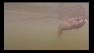 Suffering Outdoors Family, Friends And Fly Fishing