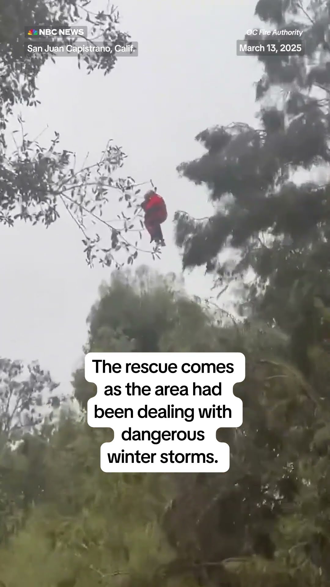 Water rescue crews saved a man who was clinging to a tree while car was in a river