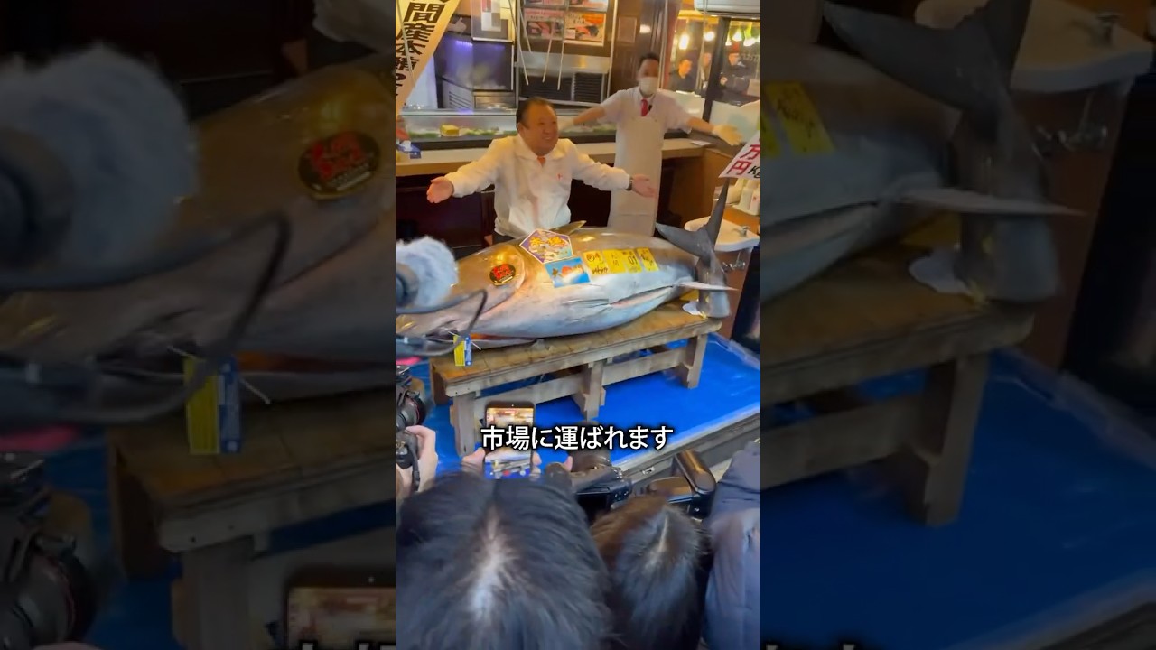 マグロを太らせる方法