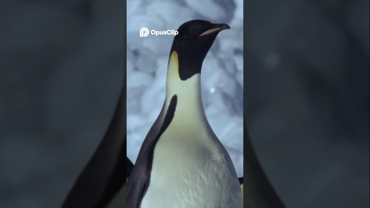 Penguins' Thrilling Antarctic Adventure: Hunt, Escape, & Dive!