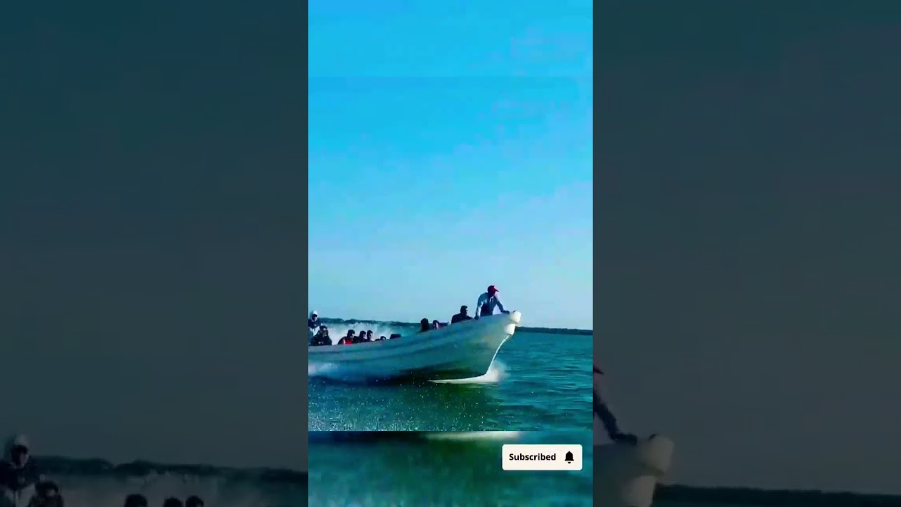 usa Mexico boat donkey 2023 