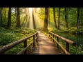 Unwind your stressed mind with calm music