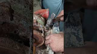 "How to Replace a Water Pump Bearing | Step-by-Step Guide"