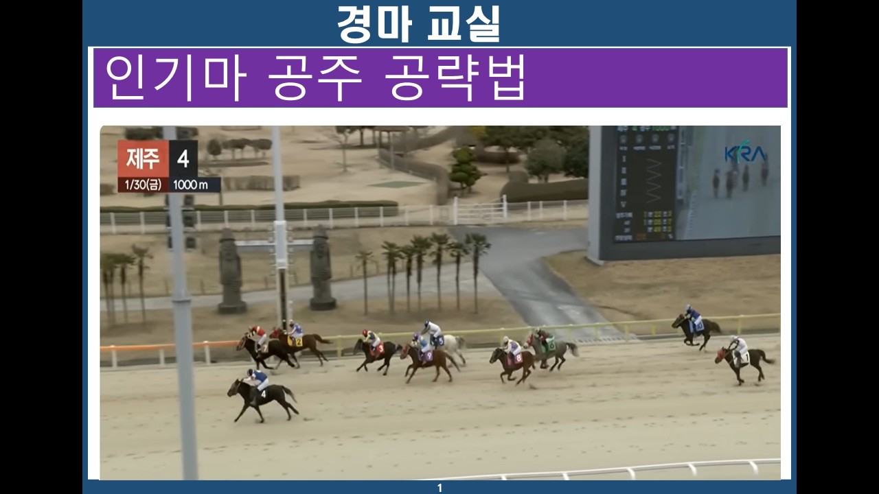 경마교실/ 인기마경주 공략법/경마분석/ 경마공부/ 경마예상