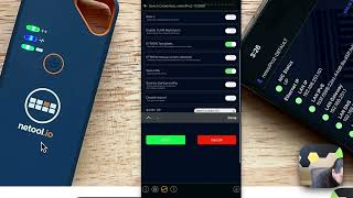 netool.io Pro2 Switch Configurator Untagged VLAN how-to