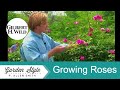 Easy Ways to Grow Roses | Garden Style (420)
