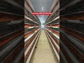 #poultryfarming